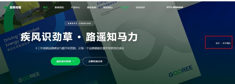 营销策划
